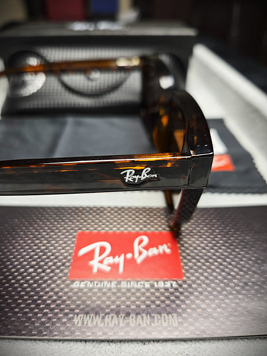 Ray-Ban Brown Lenses Eyeglasses with Dark Brown Frame