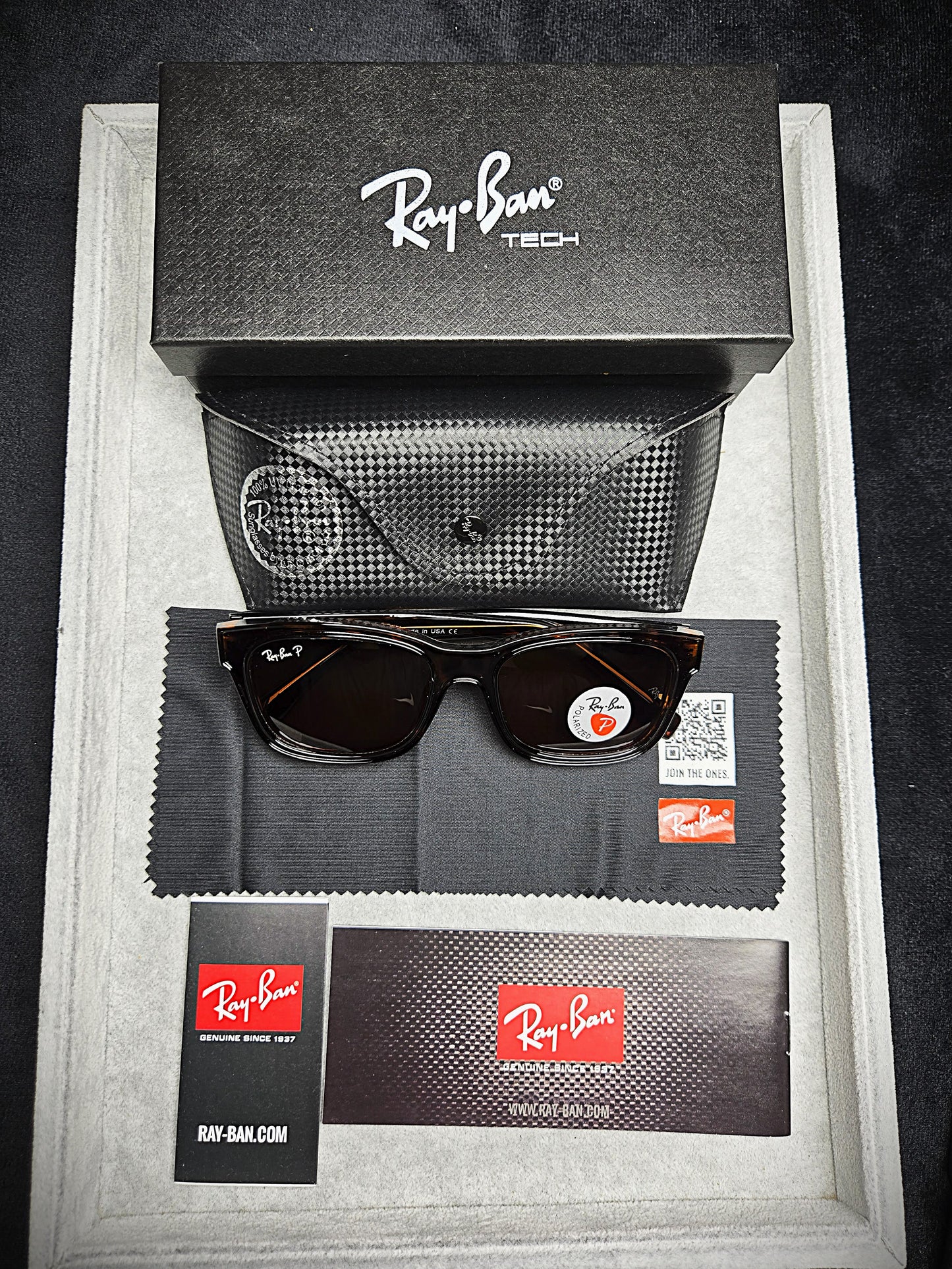 Ray-Ban Brown Lenses with Dark Brown Frame