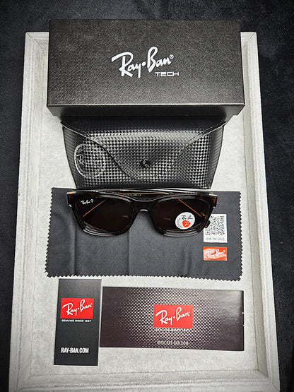 Ray-Ban Brown Lenses with Dark Brown Frame