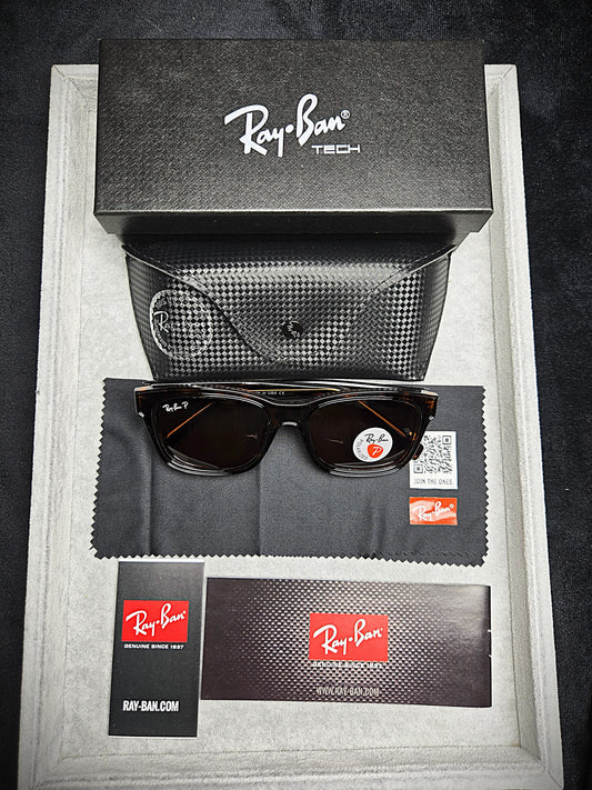 Ray-Ban Brown Lenses with Dark Brown Frame