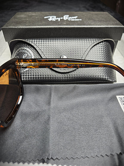 Ray-Ban Brown Lenses with Dark Brown Frame